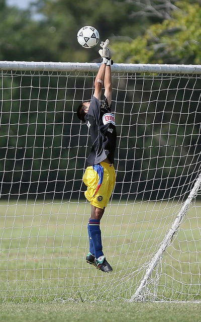 角色球员从 角色球员从